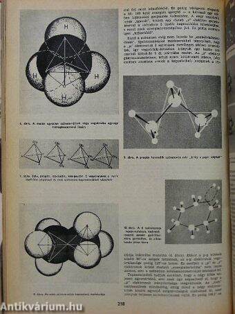 Természet világa 1969. (nem teljes évfolyam)