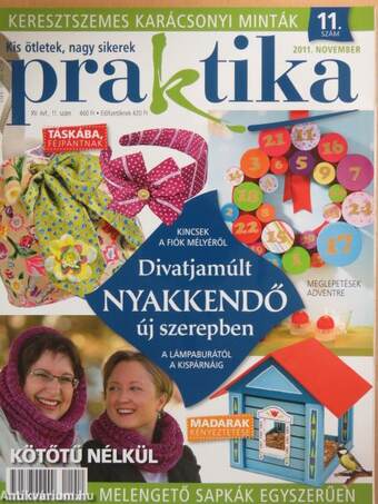 Praktika 2011. november