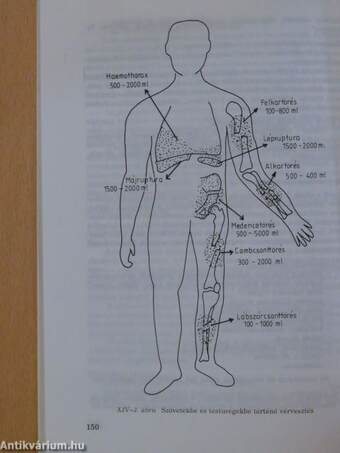 Anaesthesiologia és intenzív therápia I-II.