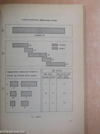 A jégkorongozás edzéselmélete