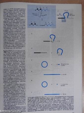 Tudomány 1987. (nem teljes évfolyam)