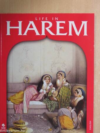 Life in harem