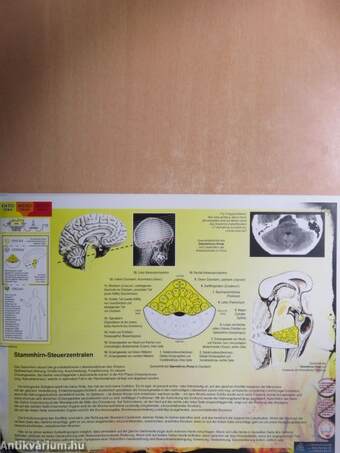 Biologika Organ Atlas