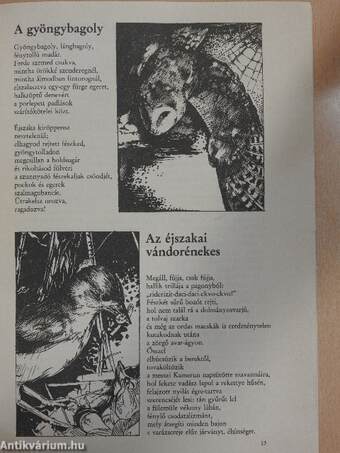 Kincskereső 1988. március