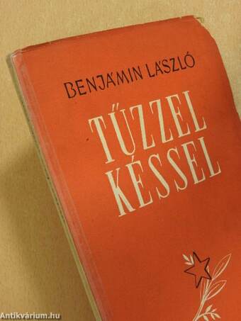 Tűzzel, késsel