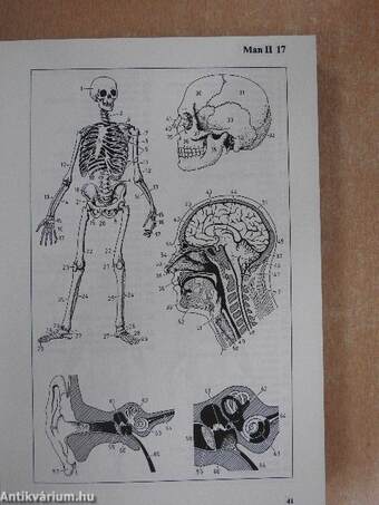 The Oxford-Duden Pictorial English Dictionary