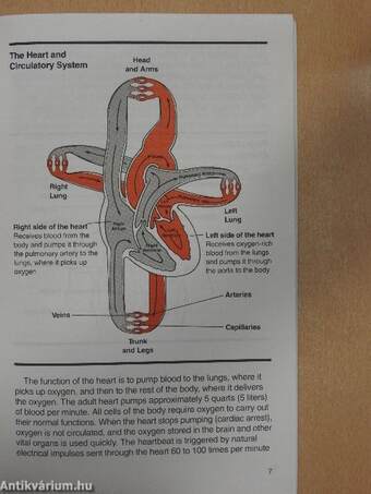 Basic Life Support Heartsaver Guide