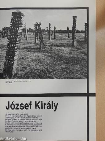 Statues in public places in Hungary 1981-1982