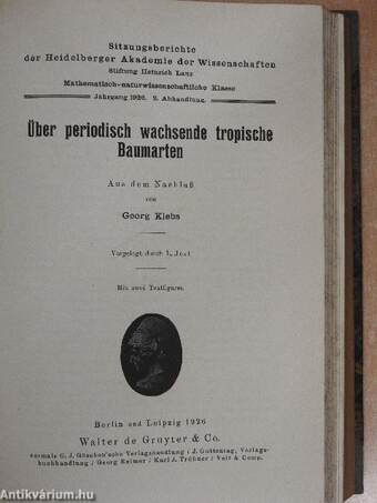 Sitzungsberichte der Heidelberger Akademie der Wissenschaften 1925-1926