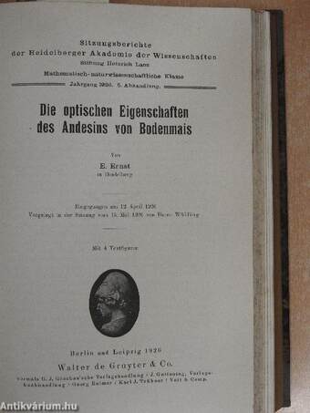 Sitzungsberichte der Heidelberger Akademie der Wissenschaften 1925-1926