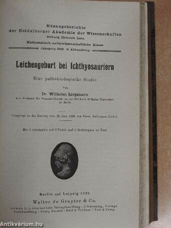 Sitzungsberichte der Heidelberger Akademie der Wissenschaften 1925-1926