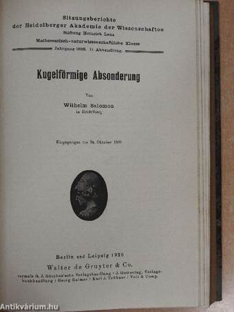 Sitzungsberichte der Heidelberger Akademie der Wissenschaften 1925-1926