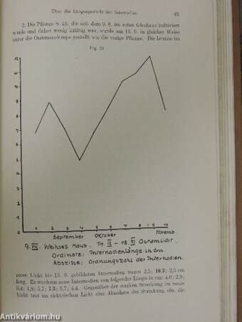 Sitzungsberichte der Heidelberger Akademie der Wissenschaften 1925-1926