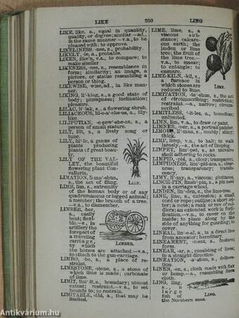 Webster's concise dictionary of the English Language