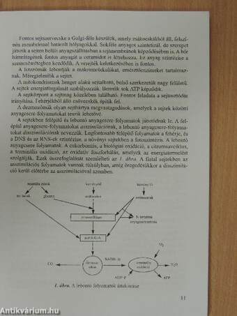 Kozmetikusok mestervizsga kézikönyve