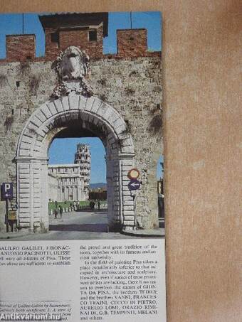 Pisa Artistic And Monumental Guide-Book