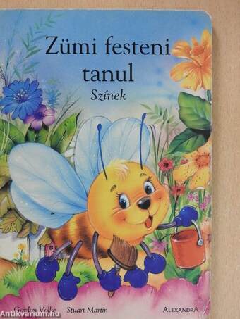 Zümi festeni tanul - Színek