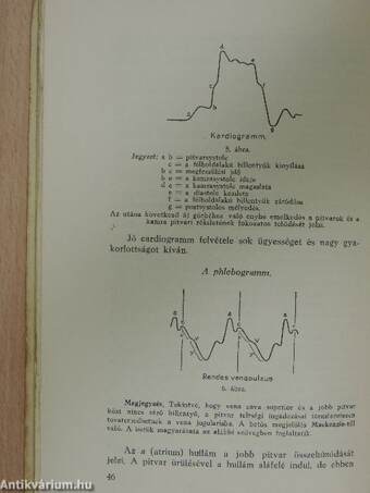 A szív és a vérkeringés betegségei és azok gyógyítása