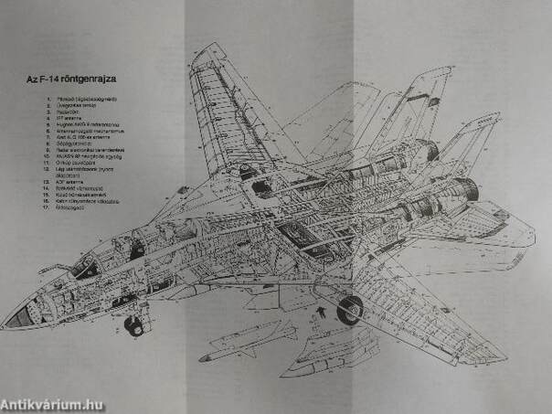 F-14 Tomcat