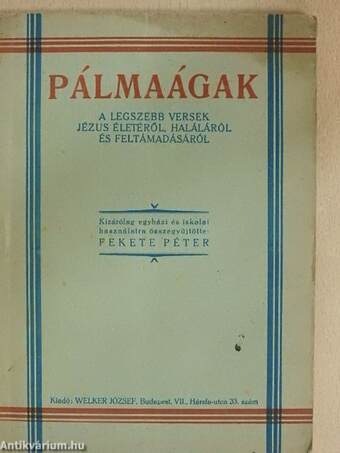 Pálmaágak