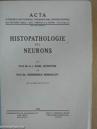 Histopathologie des Neurons