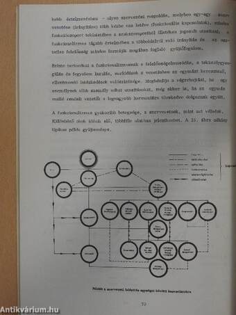 Fejezetek a vezetési ismeretek tárgyköréből