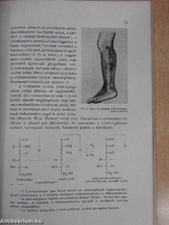 Biochemia II.