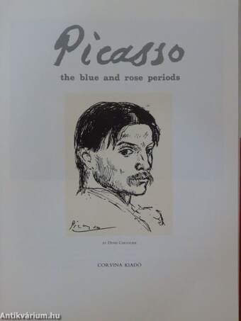 Picasso the blue and rose periods