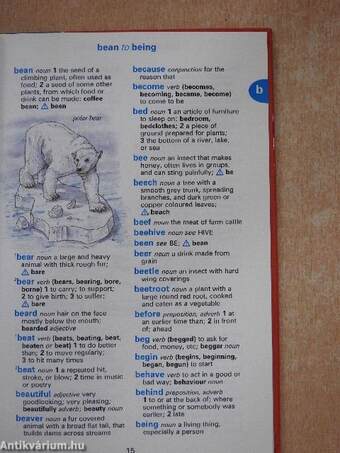 The Ladybird Illustrated Dictionary