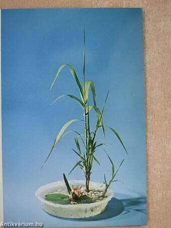 Flower Arrangement