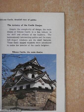 Japanese Castles