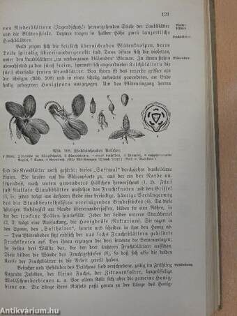 Lehrbuch der Pflanzenkunde für höhere Schulen und zum Selbstunterricht I-II. (gótbetűs)