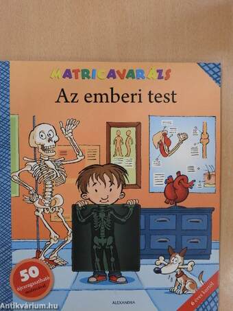 Az emberi test