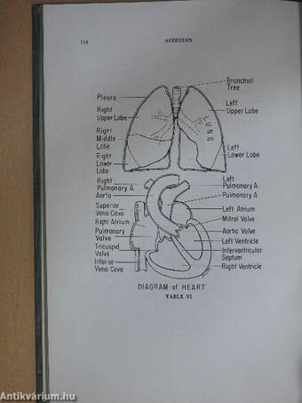 English for the foreign physician