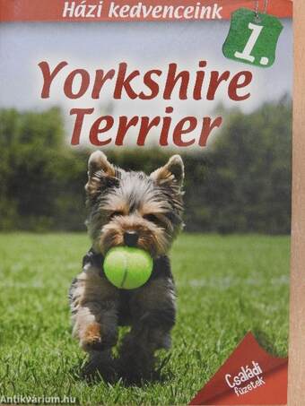 Yorkshire Terrier