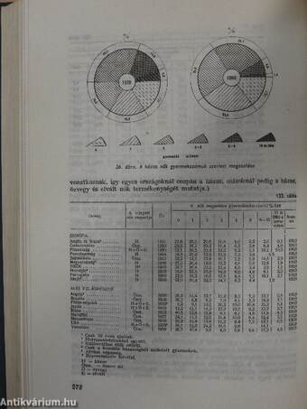 Bevezetés a demográfiába