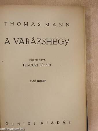 A varázshegy I-II.