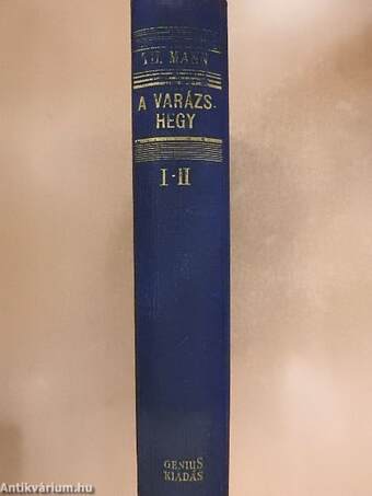 A varázshegy I-II.