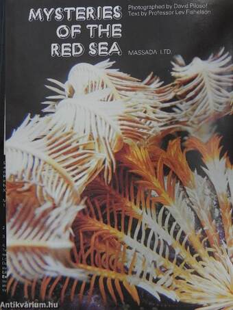 Mysteries of the Red Sea