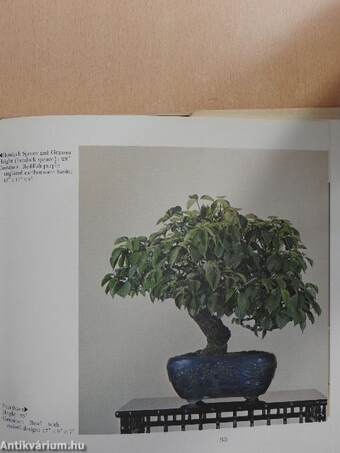 The Masters' Book of Bonsai