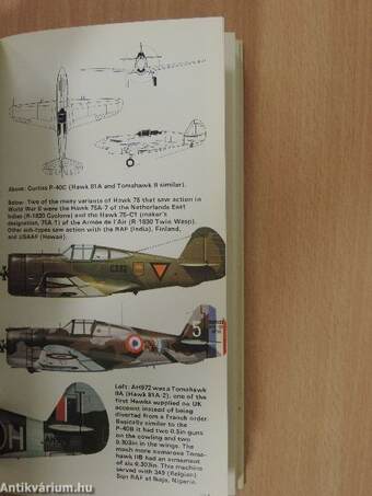 The Illustrated Directory of Fighting Aircraft of World War II