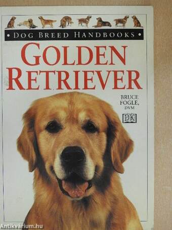 Golden retriever