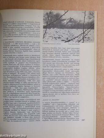 Világosság 1969. június