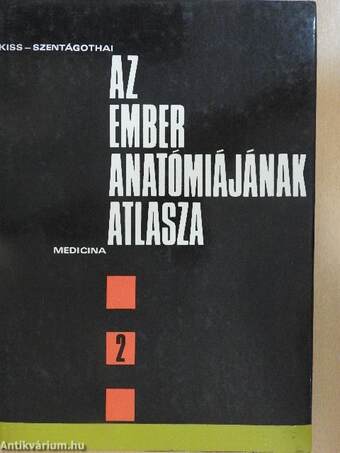 Az ember anatómiájának atlasza 2. (töredék)