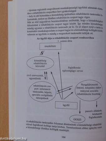 Egy könyv a foglalkozási rehabilitációról