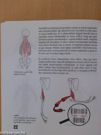 Hátat fordítani a fájdalomnak