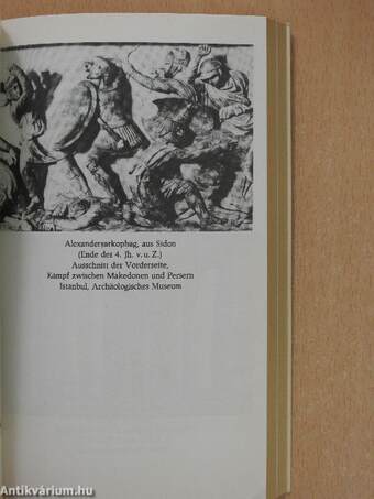 Aristoteles und der Ausgang der antiken Philosophie