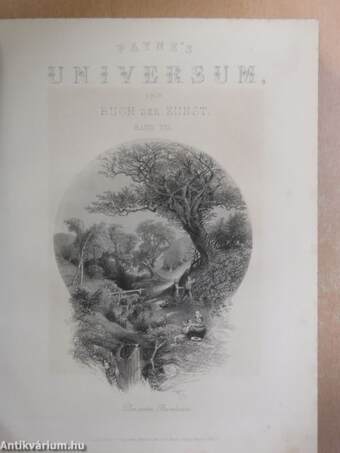 Payne's Universum und Buch der Kunst 7. (gótbetűs)