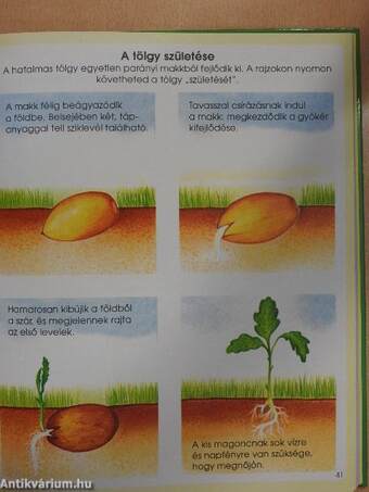 A titokzatos természet