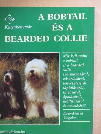 A bobtail és a bearded collie